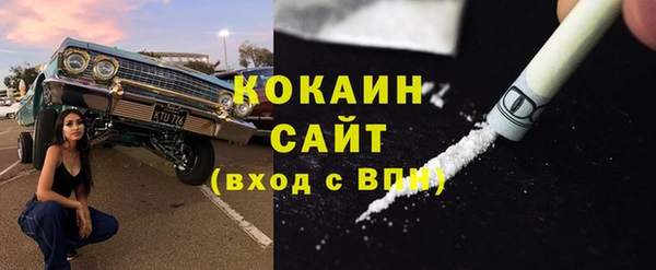 соль ск Алзамай
