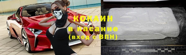 индика Алексин