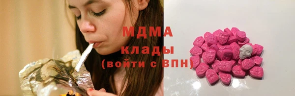 индика Алексин