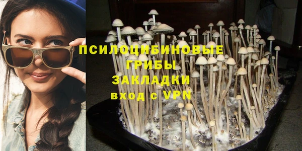 соль ск Алзамай