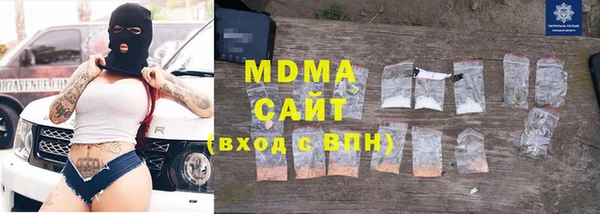 индика Алексин