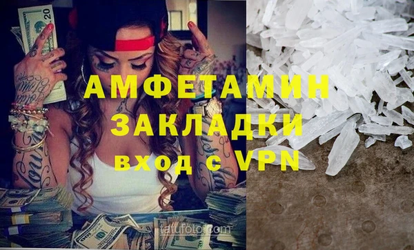 индика Алексин