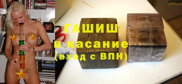 индика Алексин