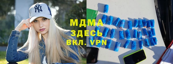 индика Алексин
