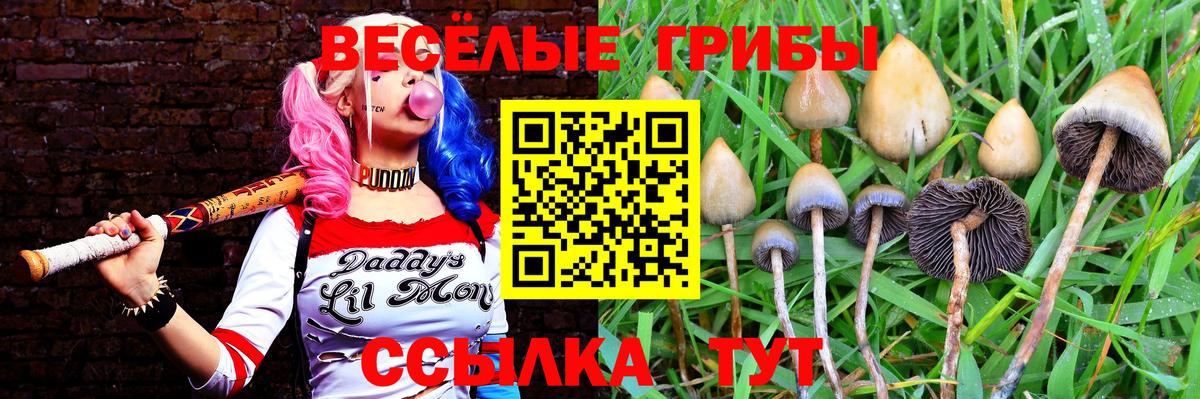 Псилоцибиновые грибы ЛСД  Галлюциногенные грибы прущие грибы  Йошкар-Ола  Вход с VPN 