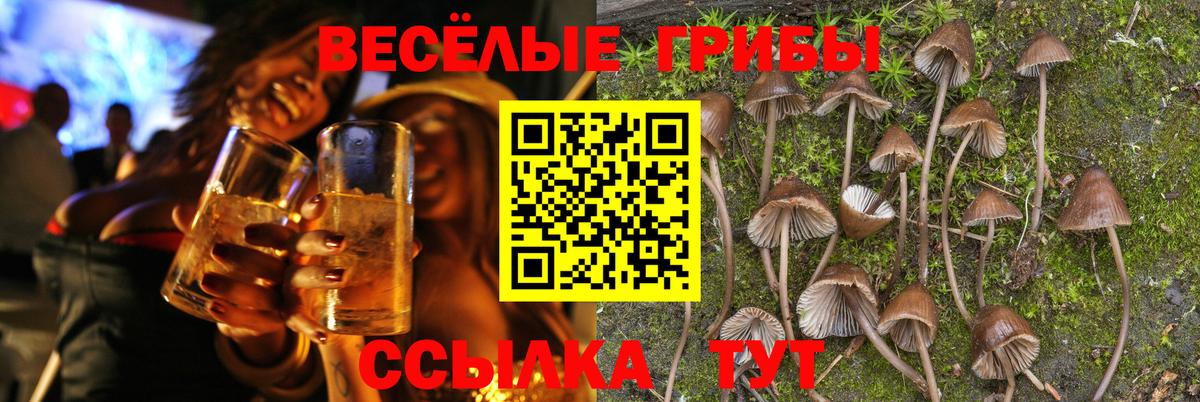 Галлюциногенные грибы мухоморы Йошкар-Ола